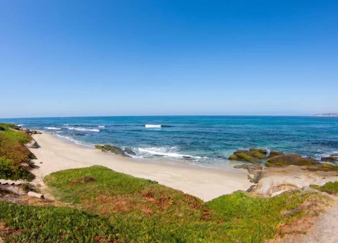 Little Point surf break in La Jolla, San Diego — the cove and its rocks above an iceplant foreground.
