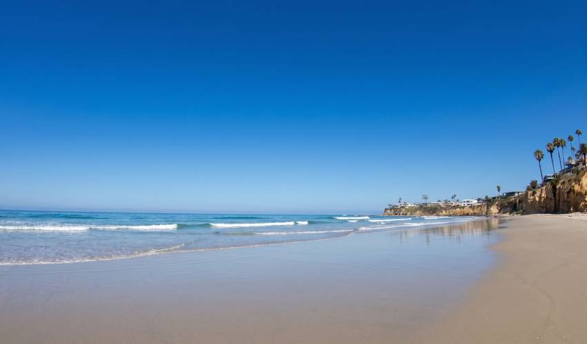 Tourmaline surf break in Pacific Beach, San Diego — open water off the point below the bluff and its palms.